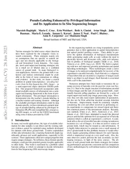 Pseudo-Labeling Enhanced by Privileged Information and Its Application
  to In Situ Sequencing Images