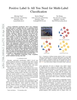 Positive Label Is All You Need for Multi-Label Classification