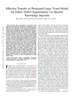 Effective Transfer of Pretrained Large Visual Model for Fabric Defect
  Segmentation via Specifc Knowledge Injection