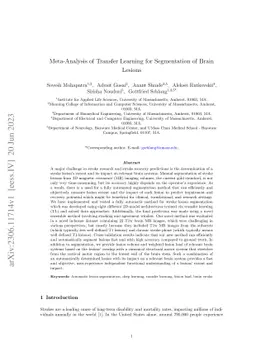 Meta-Analysis of Transfer Learning for Segmentation of Brain Lesions