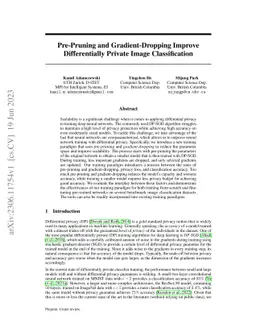 Pre-Pruning and Gradient-Dropping Improve Differentially Private Image
  Classification