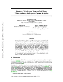 Fantastic Weights and How to Find Them: Where to Prune in Dynamic Sparse
  Training