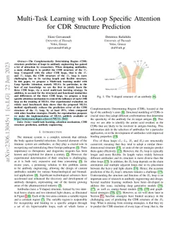 Multi-Task Learning with Loop Specific Attention for CDR Structure
  Prediction