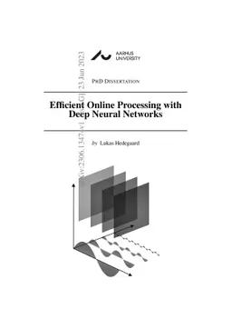 Efficient Online Processing with Deep Neural Networks