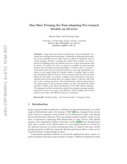 One-Shot Pruning for Fast-adapting Pre-trained Models on Devices