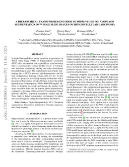 A Hierarchical Transformer Encoder to Improve Entire Neoplasm
  Segmentation on Whole Slide Image of Hepatocellular Carcinoma