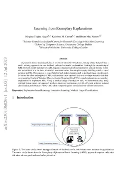 Learning from Exemplary Explanations