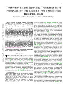 TreeFormer: a Semi-Supervised Transformer-based Framework for Tree
  Counting from a Single High Resolution Image