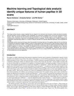 Machine learning and Topological data analysis identify unique features
  of human papillae in 3D scans