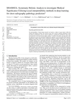 SHAMSUL: Systematic Holistic Analysis to investigate Medical
  Significance Utilizing Local interpretability methods in deep learning for
  chest radiography pathology prediction