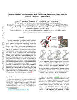 Dynamic Snake Convolution based on Topological Geometric Constraints for
  Tubular Structure Segmentation
