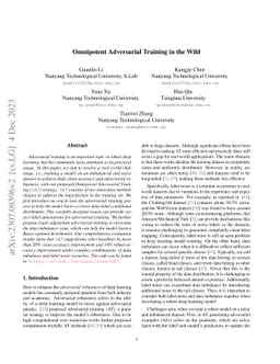 Omnipotent Adversarial Training in the Wild