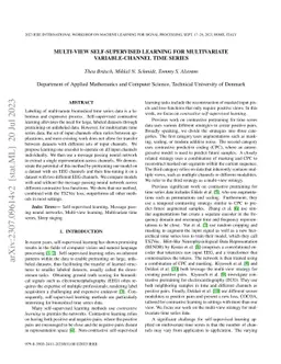 Multi-view self-supervised learning for multivariate variable-channel
  time series