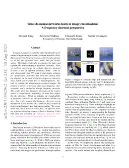 What do neural networks learn in image classification? A frequency
  shortcut perspective