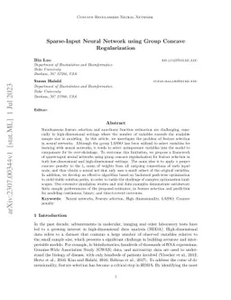 Sparse-Input Neural Network using Group Concave Regularization