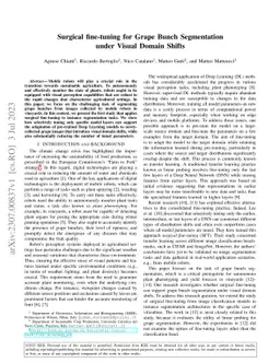 Surgical fine-tuning for Grape Bunch Segmentation under Visual Domain
  Shifts