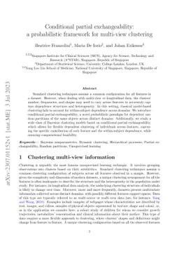 Conditional partial exchangeability: a probabilistic framework for
  multi-view clustering
