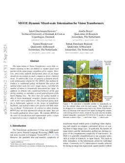 MSViT: Dynamic Mixed-Scale Tokenization for Vision Transformers