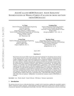 AxonCallosumEM Dataset: Axon Semantic Segmentation of Whole Corpus
  Callosum cross section from EM Images