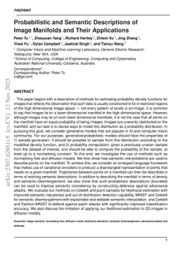Probabilistic and Semantic Descriptions of Image Manifolds and Their
  Applications