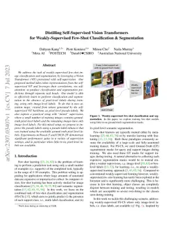 Distilling Self-Supervised Vision Transformers for Weakly-Supervised
  Few-Shot Classification & Segmentation