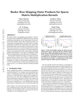 Rosko: Row Skipping Outer Products for Sparse Matrix Multiplication
  Kernels