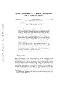 Sparse Double Descent in Vision Transformers: real or phantom threat?