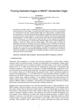 Pruning Distorted Images in MNIST Handwritten Digits