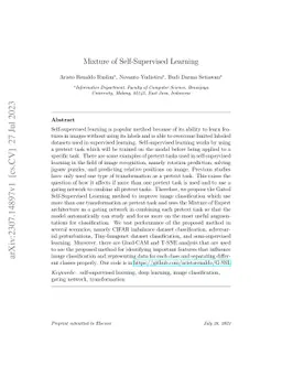 Mixture of Self-Supervised Learning