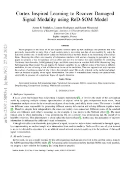 Cortex Inspired Learning to Recover Damaged Signal Modality with ReD-SOM
  Model