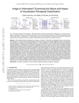 Image or Information? Examining the Nature and Impact of Visualization
  Perceptual Classification