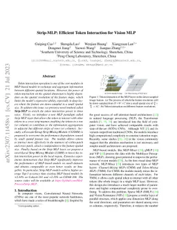 Strip-MLP: Efficient Token Interaction for Vision MLP