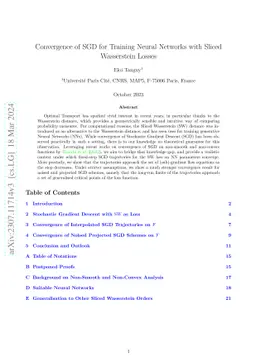 Convergence of SGD for Training Neural Networks with Sliced Wasserstein
  Losses