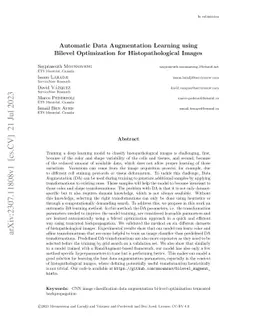 Automatic Data Augmentation Learning using Bilevel Optimization for
  Histopathological Images