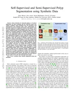 Self-Supervised and Semi-Supervised Polyp Segmentation using Synthetic
  Data