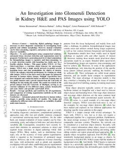An Investigation into Glomeruli Detection in Kidney H&E and PAS Images
  using YOLO