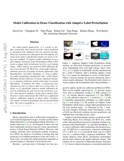 Model Calibration in Dense Classification with Adaptive Label
  Perturbation
