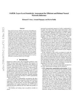 SAfER: Layer-Level Sensitivity Assessment for Efficient and Robust
  Neural Network Inference