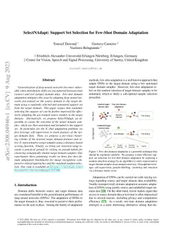 SelectNAdapt: Support Set Selection for Few-Shot Domain Adaptation