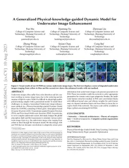 A Generalized Physical-knowledge-guided Dynamic Model for Underwater
  Image Enhancement