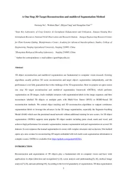 A One Stop 3D Target Reconstruction and multilevel Segmentation Method