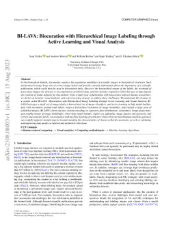 BI-LAVA: Biocuration with Hierarchical Image Labeling through Active
  Learning and Visual Analysis