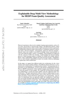 Explainable Multi-View Deep Networks Methodology for Experimental
  Physics