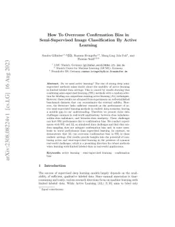 How To Overcome Confirmation Bias in Semi-Supervised Image
  Classification By Active Learning