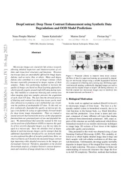 DeepContrast: Deep Tissue Contrast Enhancement using Synthetic Data Degradations and OOD Model Predictions