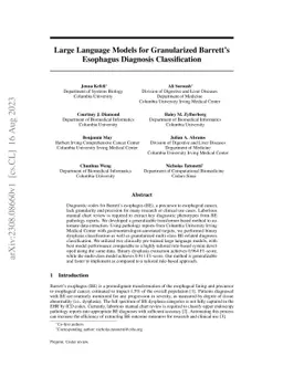Large Language Models for Granularized Barrett's Esophagus Diagnosis
  Classification