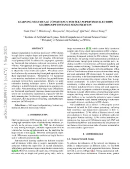 Learning Multiscale Consistency for Self-supervised Electron Microscopy
  Instance Segmentation