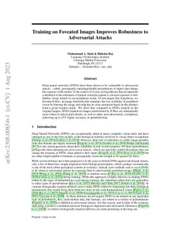 Training on Foveated Images Improves Robustness to Adversarial Attacks