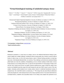 Virtual histological staining of unlabeled autopsy tissue