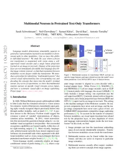 Multimodal Neurons in Pretrained Text-Only Transformers
